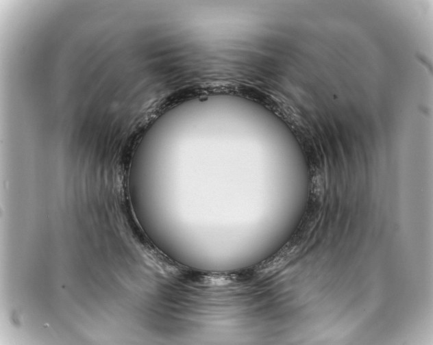 X0000094450662200711081049