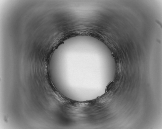 X0000094450664200711081049