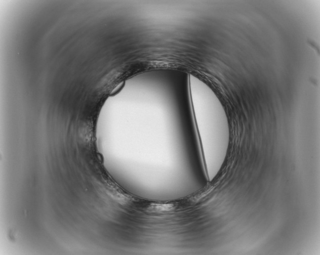 X0000094450665200711081049