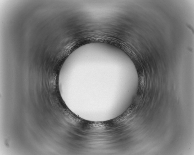 X0000094450668200711081049
