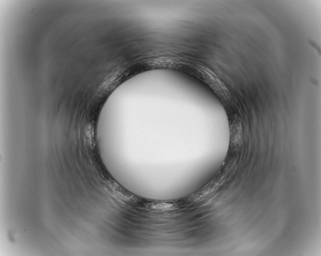X0000094450669200711081049