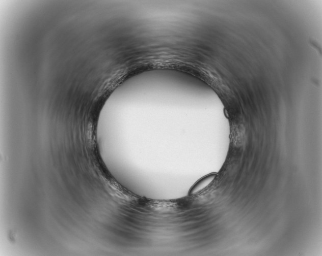 X0000094450670200711081049
