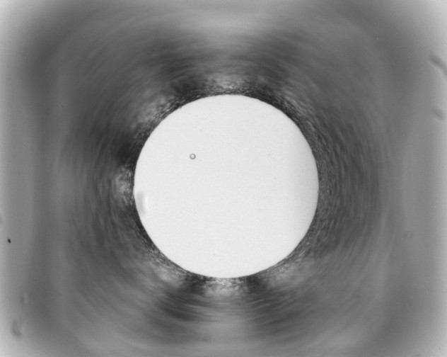 X0000094450672200711081049