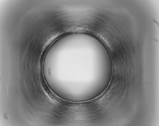 X0000094450674200711081048