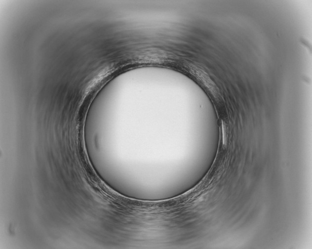 X0000094450675200711081048