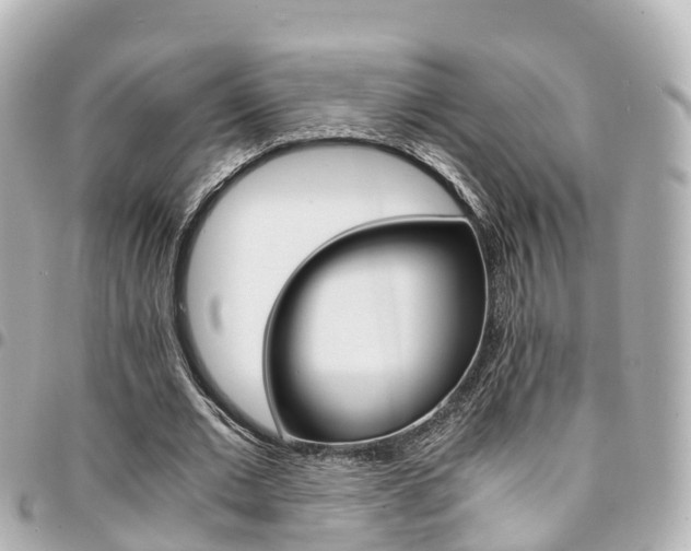 X0000094450677200711081048