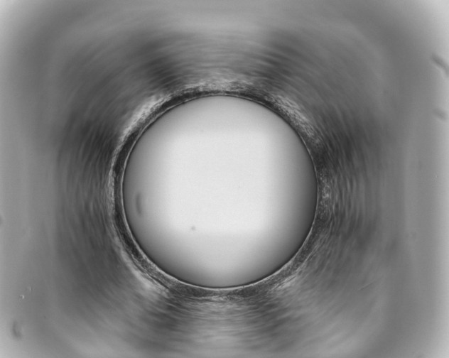 X0000094450678200711081048