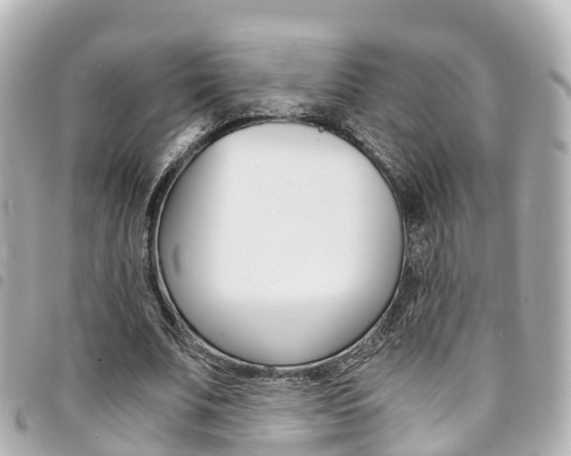 X0000094450679200711081048