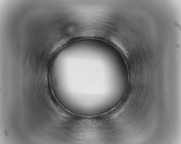 X0000094450681200711081048