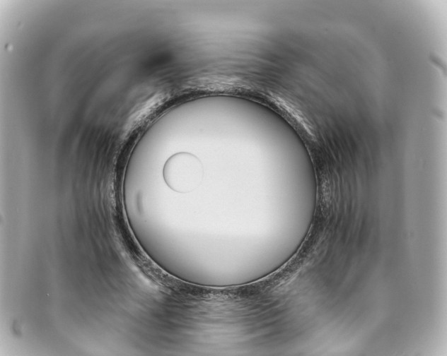 X0000094450682200711081048