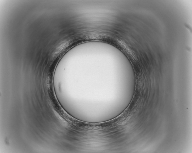 X0000094450683200711081048
