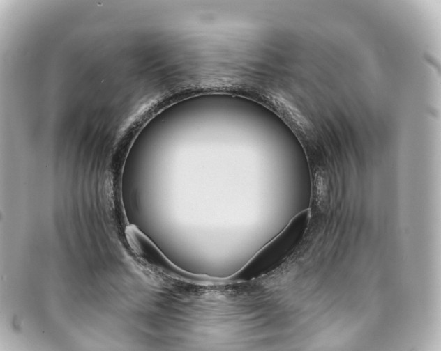 X0000094450684200711081048