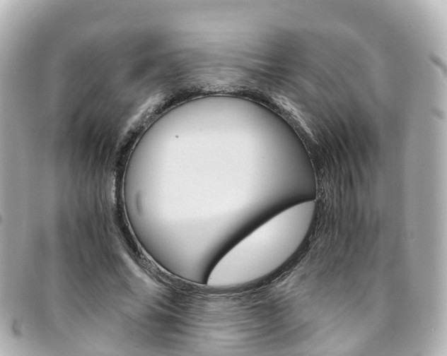X0000094450686200711081048