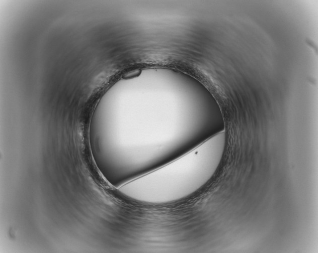 X0000094450688200711081048