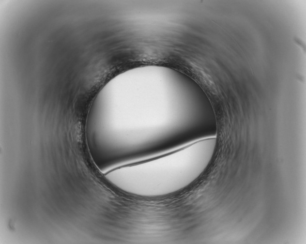 X0000094450689200711081048