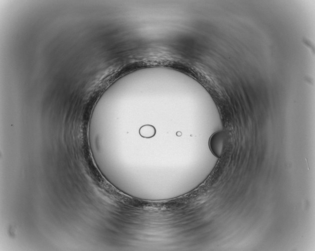 X0000094450690200711081048