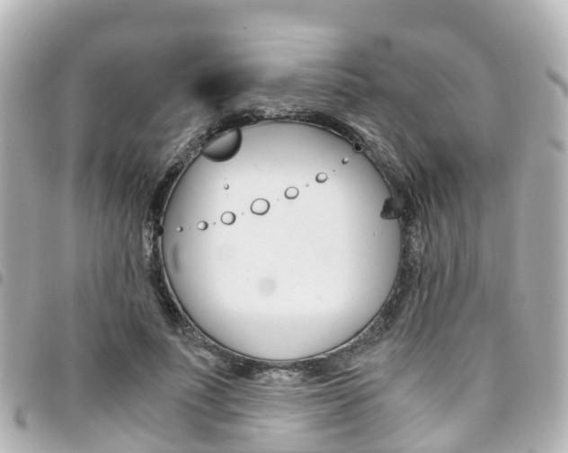 X0000094450691200711081048