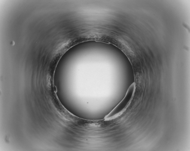 X0000094450692200711081048