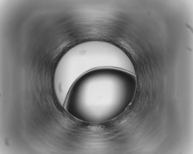 X0000094450693200711081048