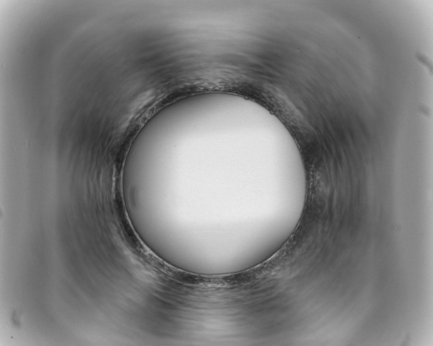 X0000094450694200711081048