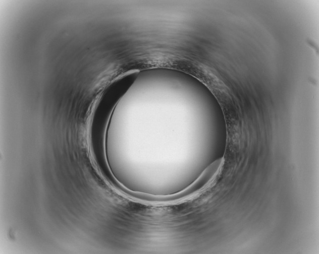 X0000094450696200711081048