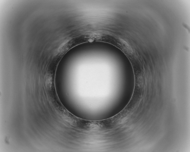 X0000094450697200711081048