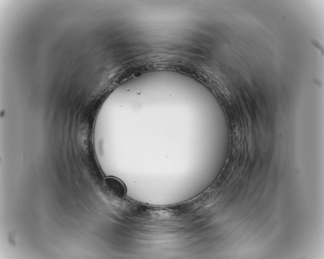 X0000094450698200711081048