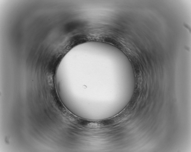 X0000094450699200711081048