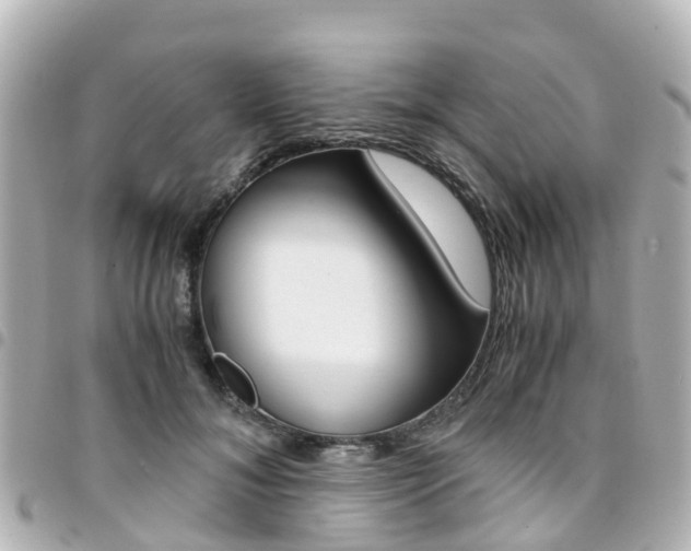 X0000094450700200711081048
