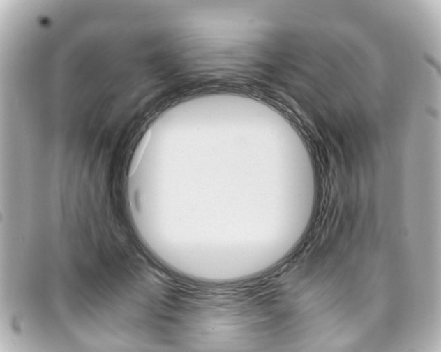X0000094450701200711081048