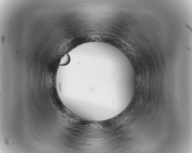 X0000094450702200711081048