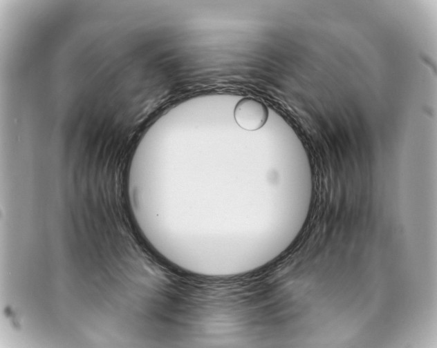 X0000094450704200711081048