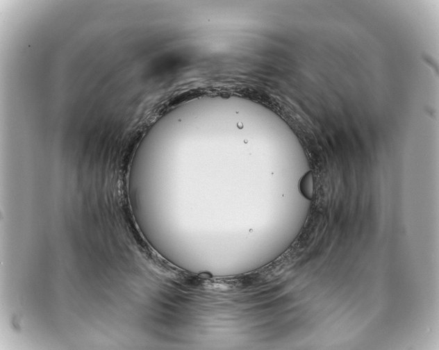 X0000094450706200711081048