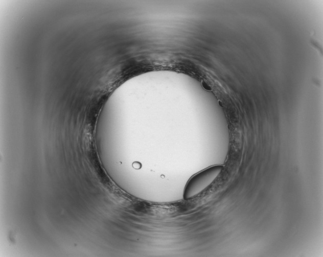 X0000094450707200711081048