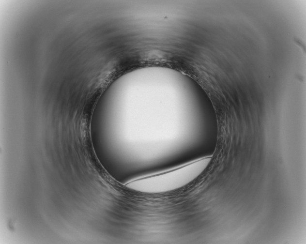 X0000094450708200711081048