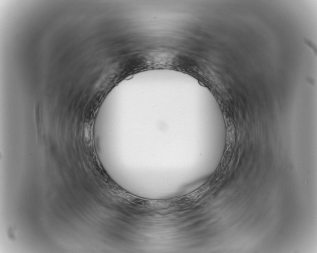 X0000094450709200711081048