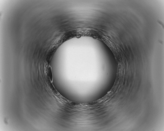 X0000094450712200711081048