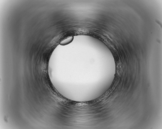X0000094450714200711081048