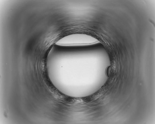 X0000094450715200711081048