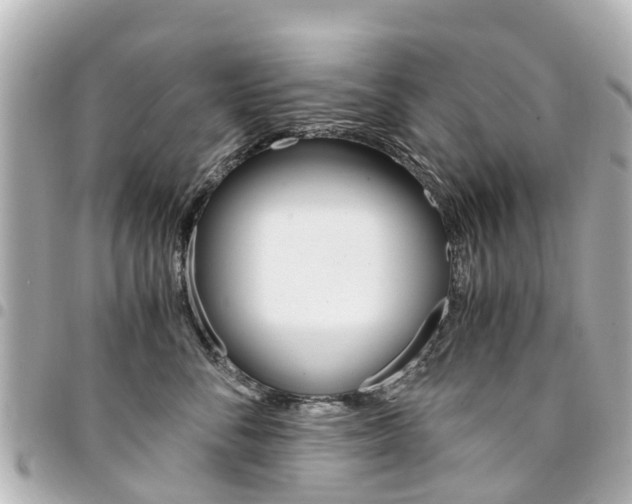 X0000094450716200711081048