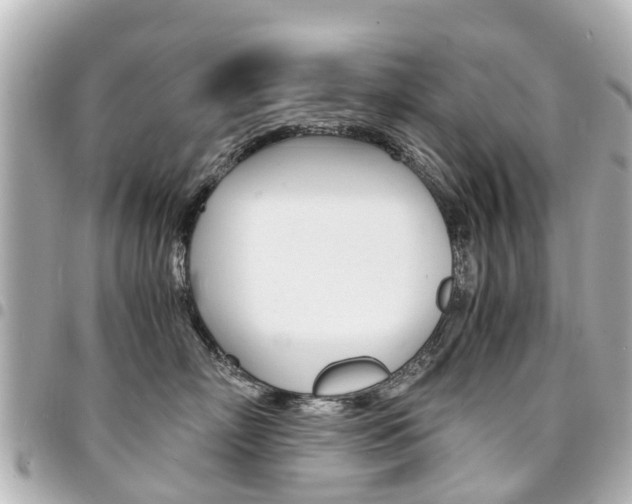 X0000094450718200711081048
