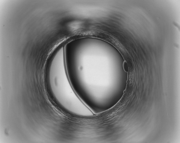 X0000094450722200711081047