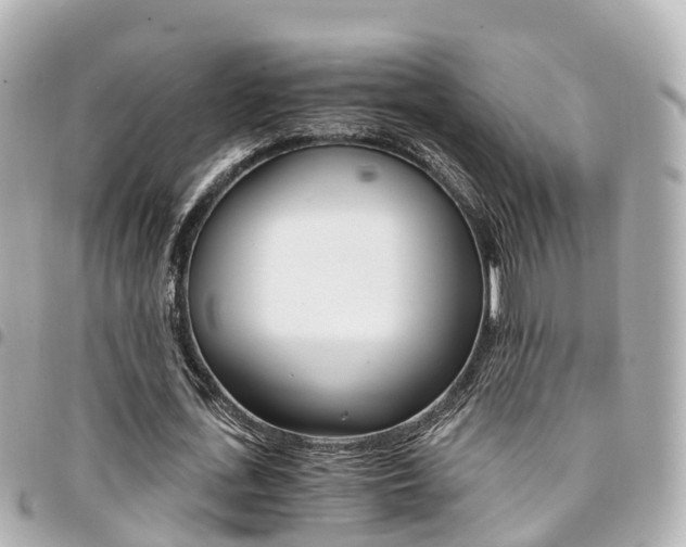 X0000094450723200711081047