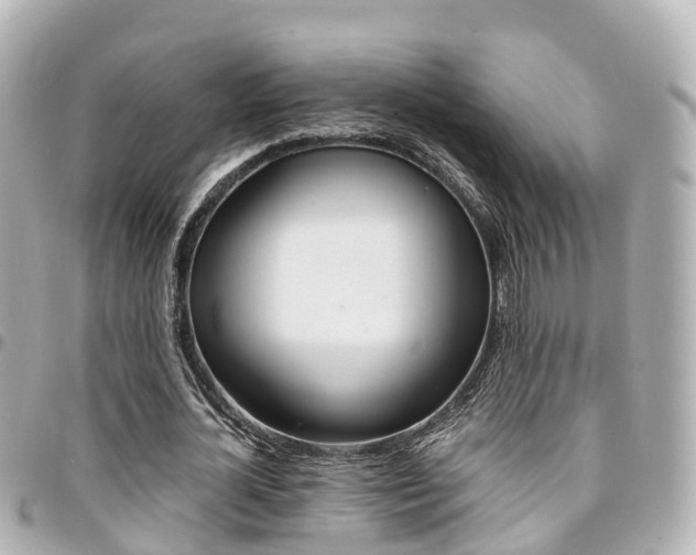 X0000094450724200711081047