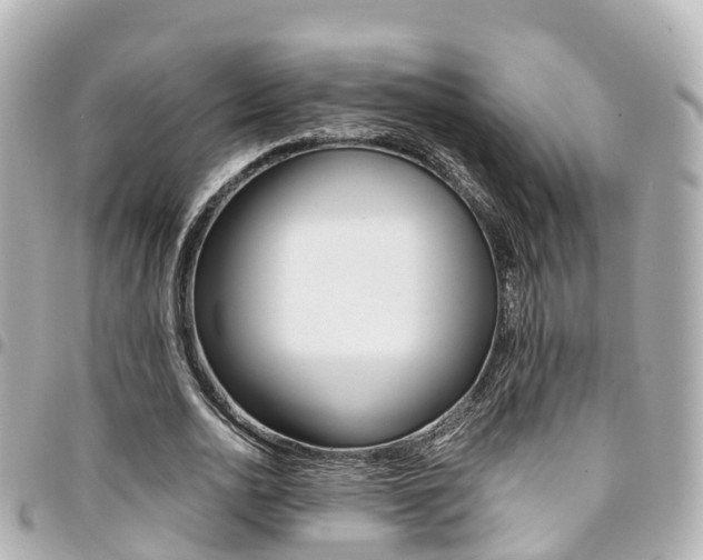 X0000094450726200711081047