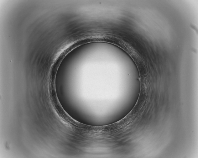 X0000094450728200711081047