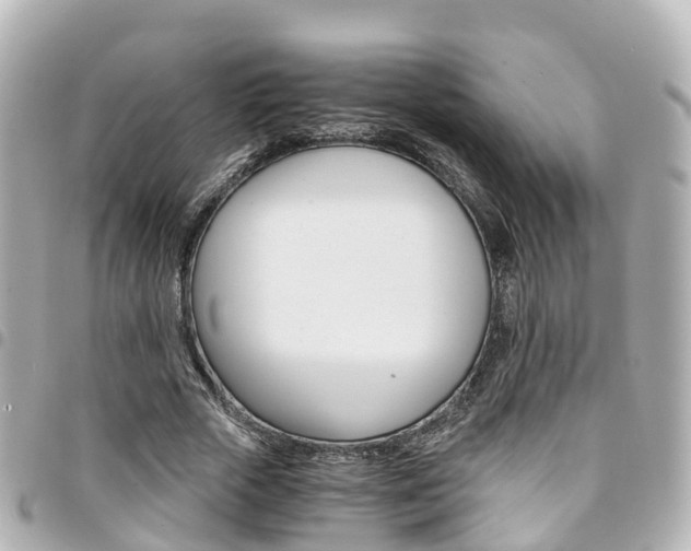 X0000094450729200711081047