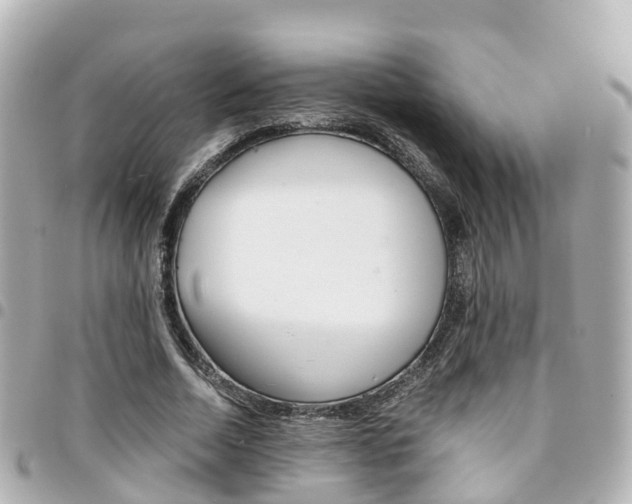 X0000094450730200711081047