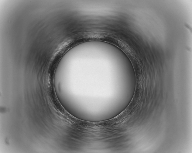 X0000094450731200711081047