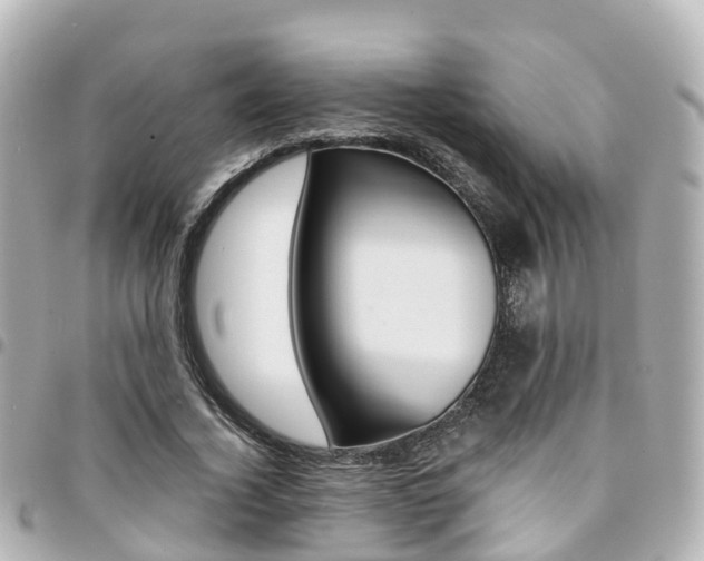 X0000094450732200711081047